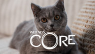 New from Wellness CORE - A Smarter Way to Win in Premium Cat