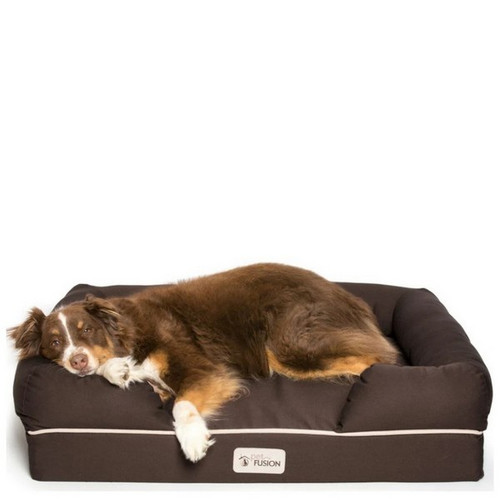 Petfusion memory foam shop dog bed large