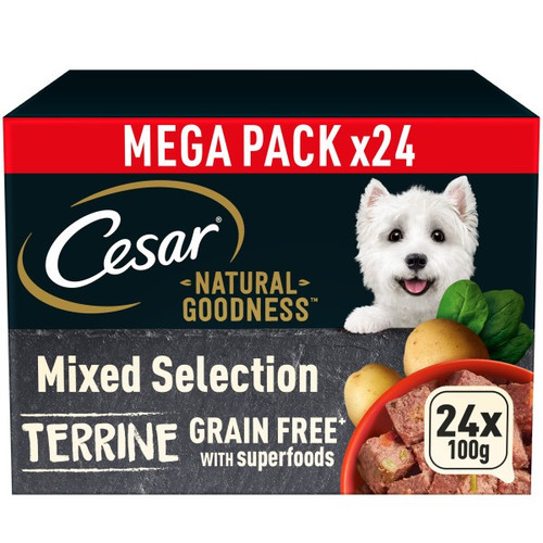 Cesar grain free sales dog food