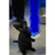 267619-4.jpg
