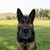 274224-10.jpg