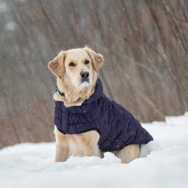 gf-pet-coats
