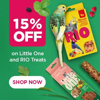 P12 RIO/Little One Offers