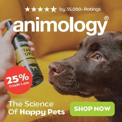 P12 Animology