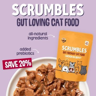 P13 Scrumbles Online Only