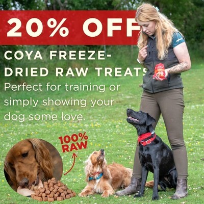 P9 COYA Online Only Offers