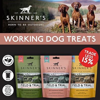 P6 Offers Skinners