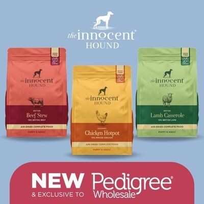 New Innocent Hound