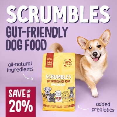 P9 Offers Scrumbles