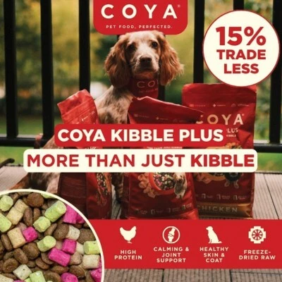 P6 Coya Offers