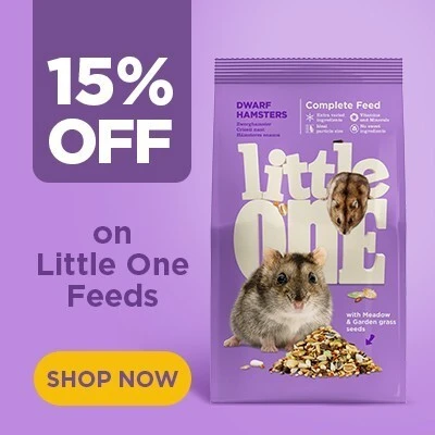 P10 Offers Little One