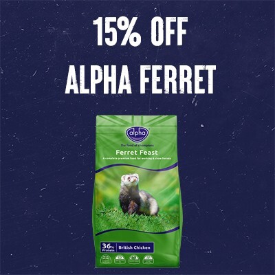 P9 Alpha Online Only Offers