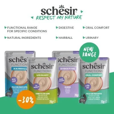 New Schesir
