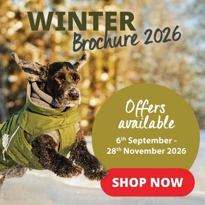 Winter Brochure