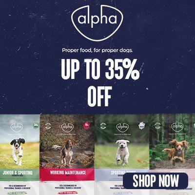 P1 Alpha Online Only Offers