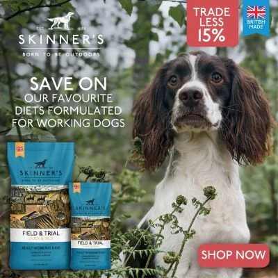 P11 Offers Skinners
