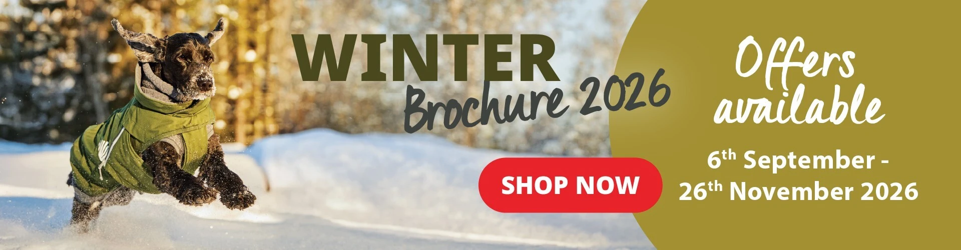 Winter Brochure 2026