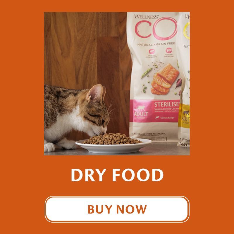 wellness-core-dry-cat-food