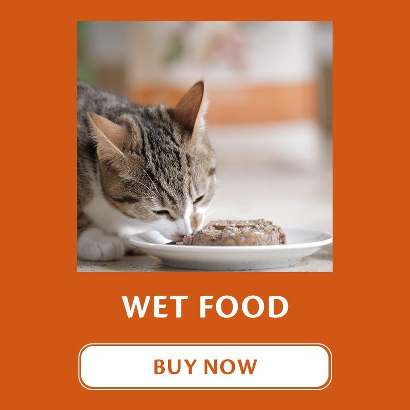 wellness-core-cat-wet-food