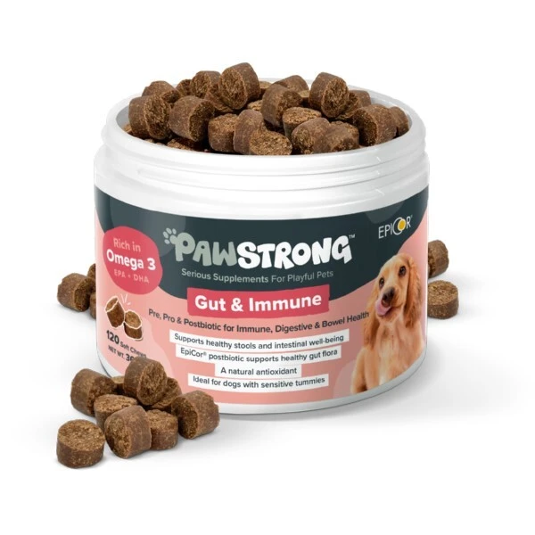 pawstrong gut and immune