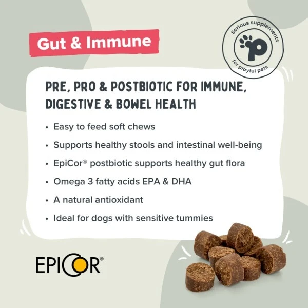 Pawstrong gut and immune