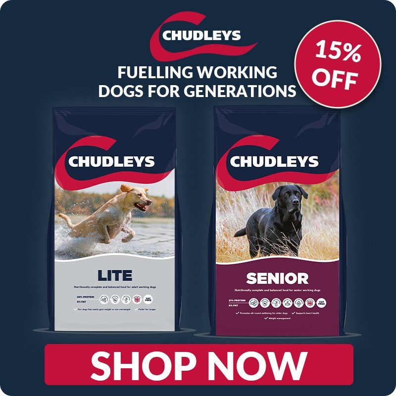 P7_chudleys