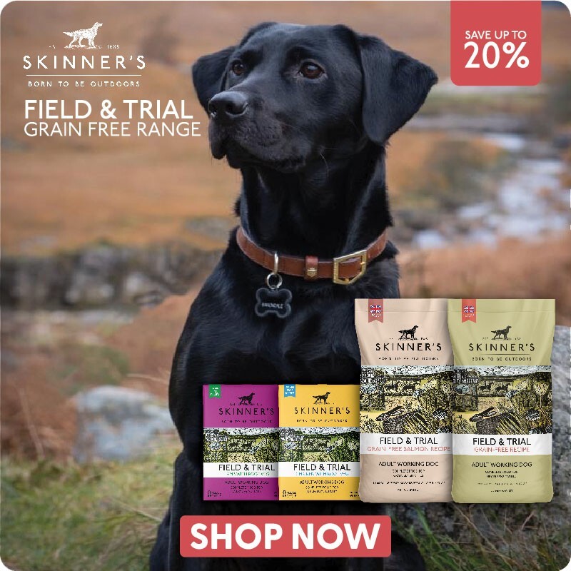 P7_2025_skinners