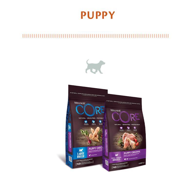 wellness-core-puppy