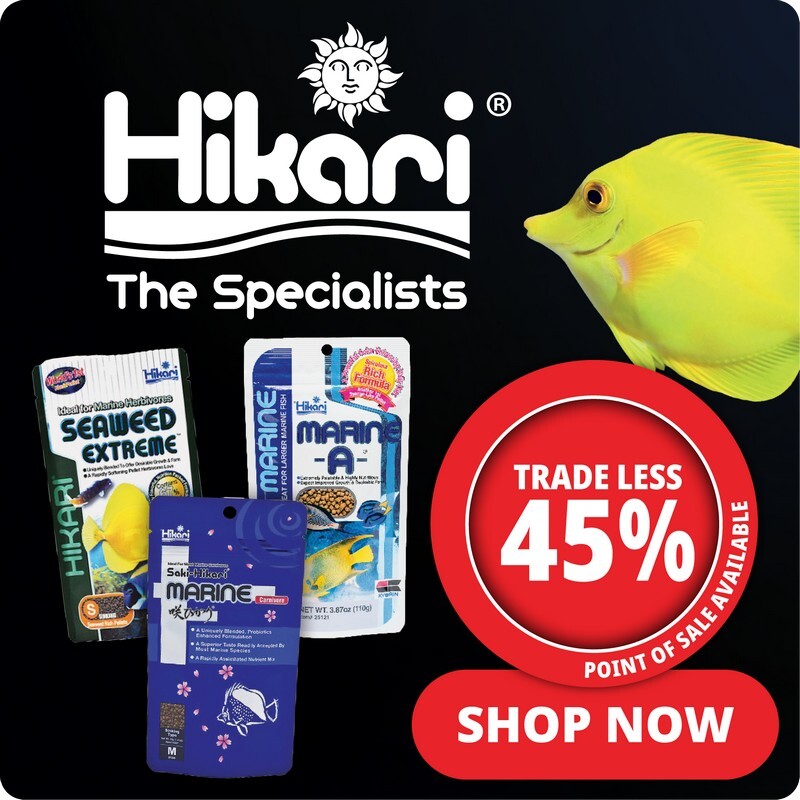 P7_2025_hikari