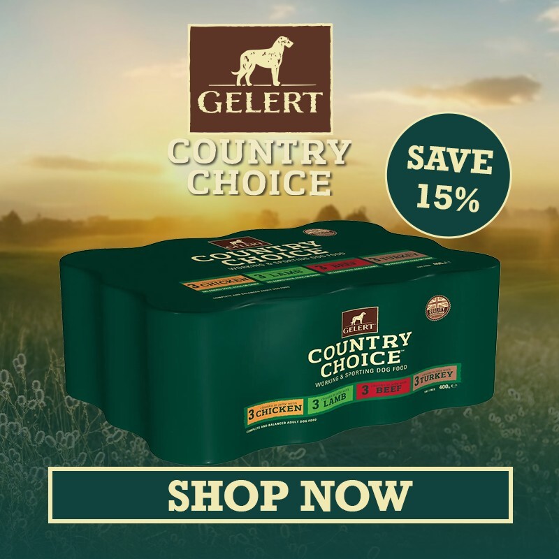 P7_2025_Gelert