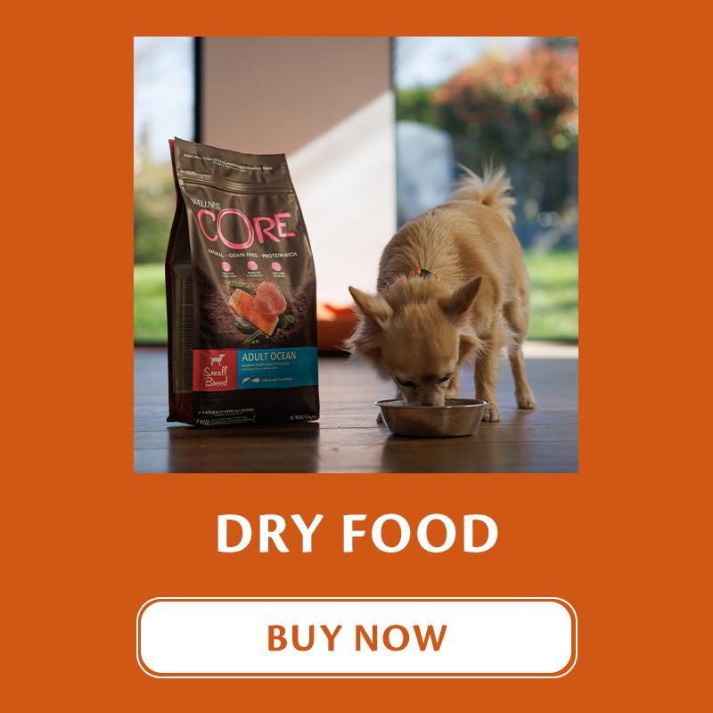 wellness-core-dog-food-dry