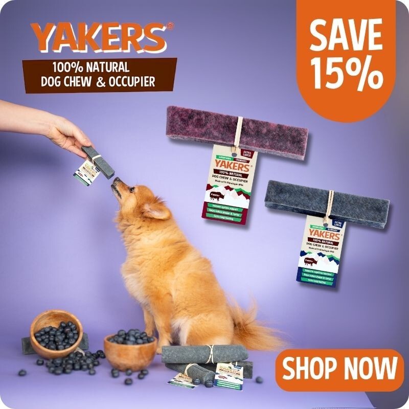 P10_yakers