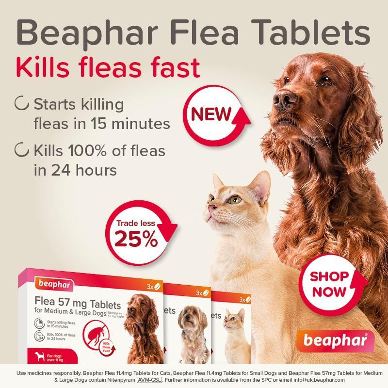 P11 Beaphar