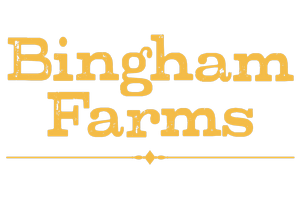 bingham-farms