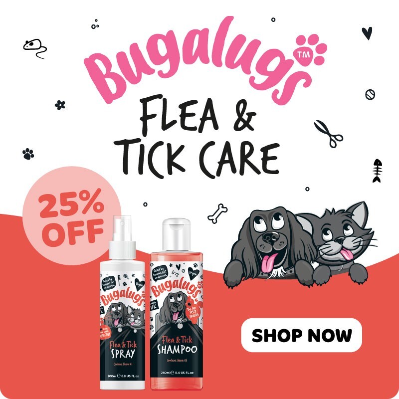 P5-lower-large-bugalugs