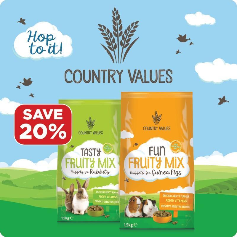 P8_country-values