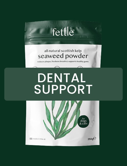 fettle-seaweed-powder