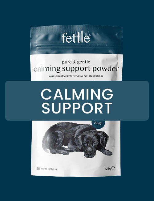 fettle-calming-support-powder