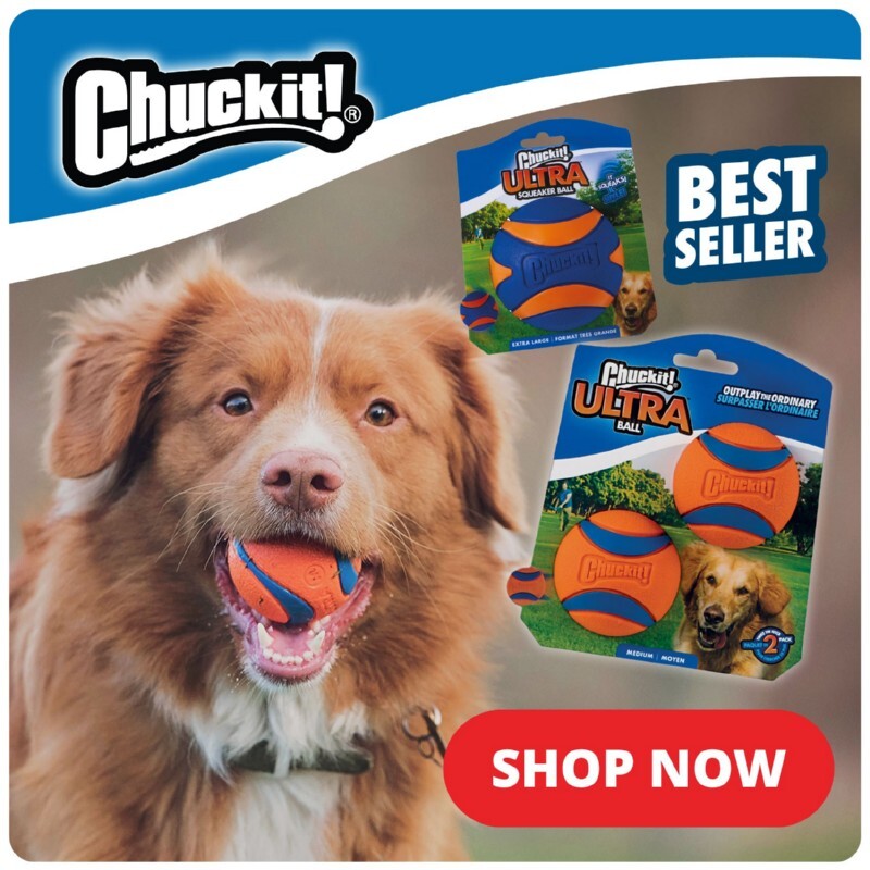 P8-chuckit