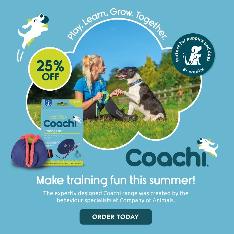P6-Coachie