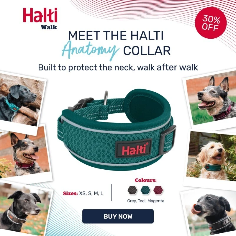 Halti Anatomy