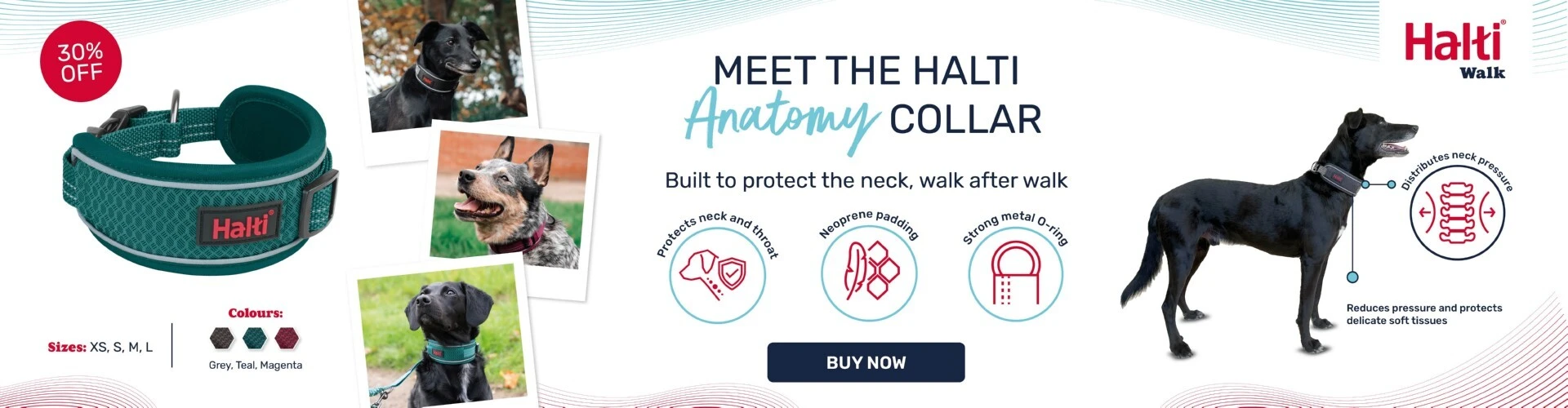 Halti Anatomy