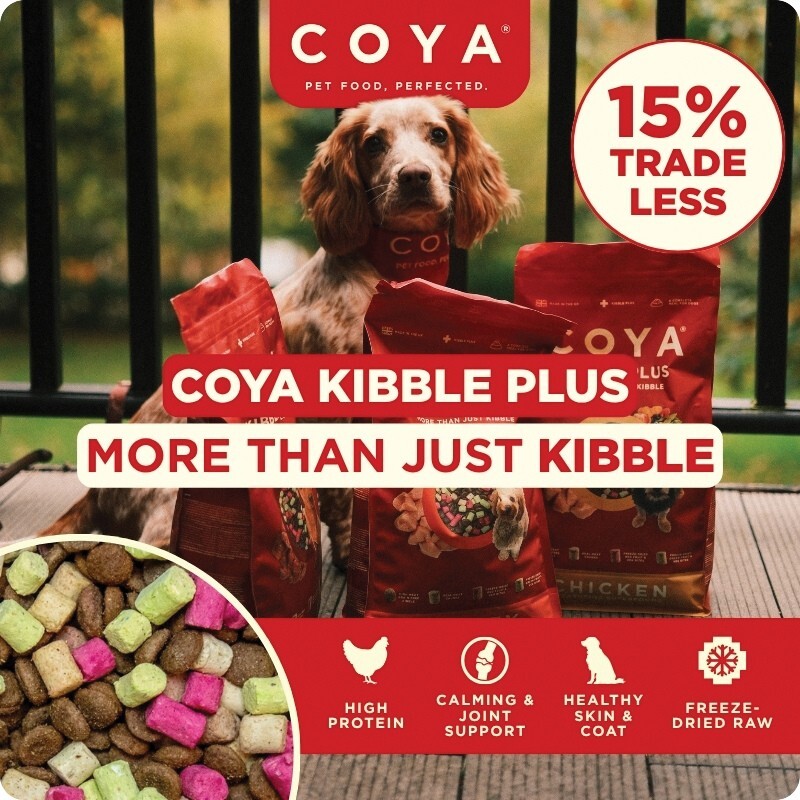 P6-lower-large-coya