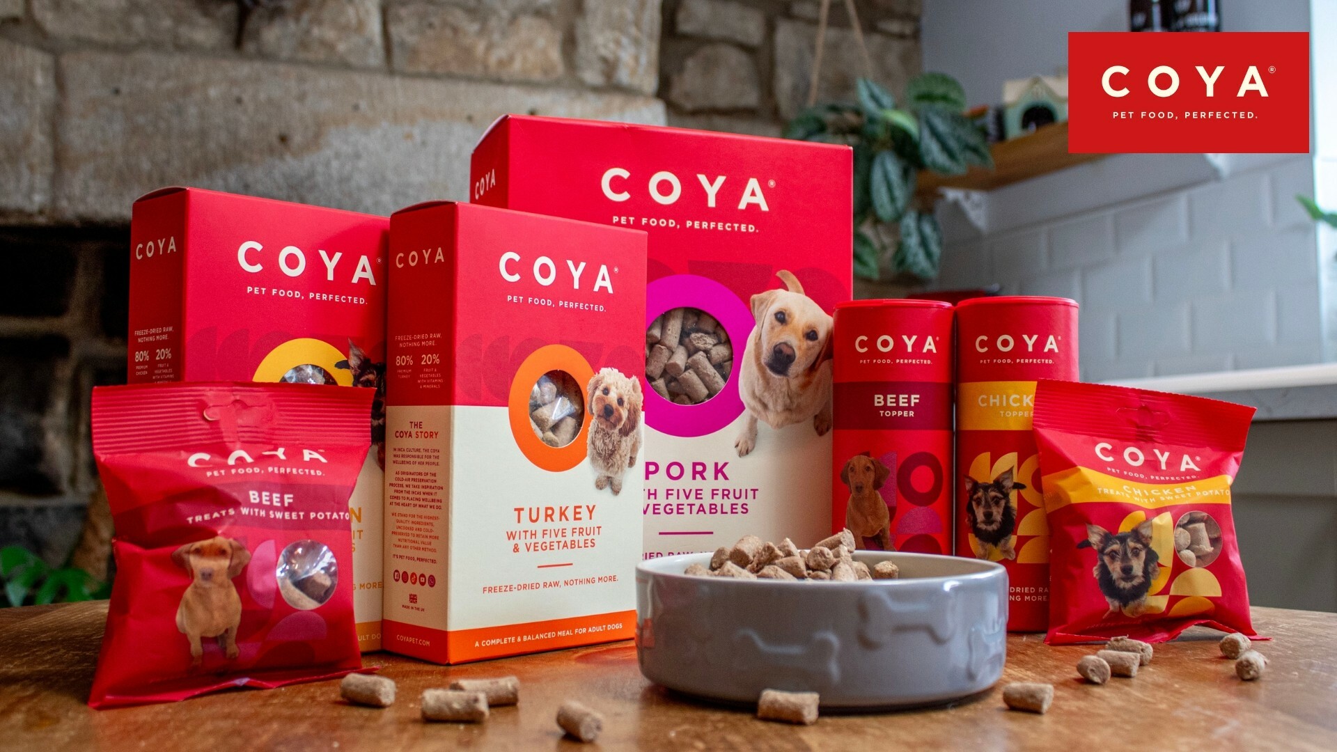 coya-dog-food