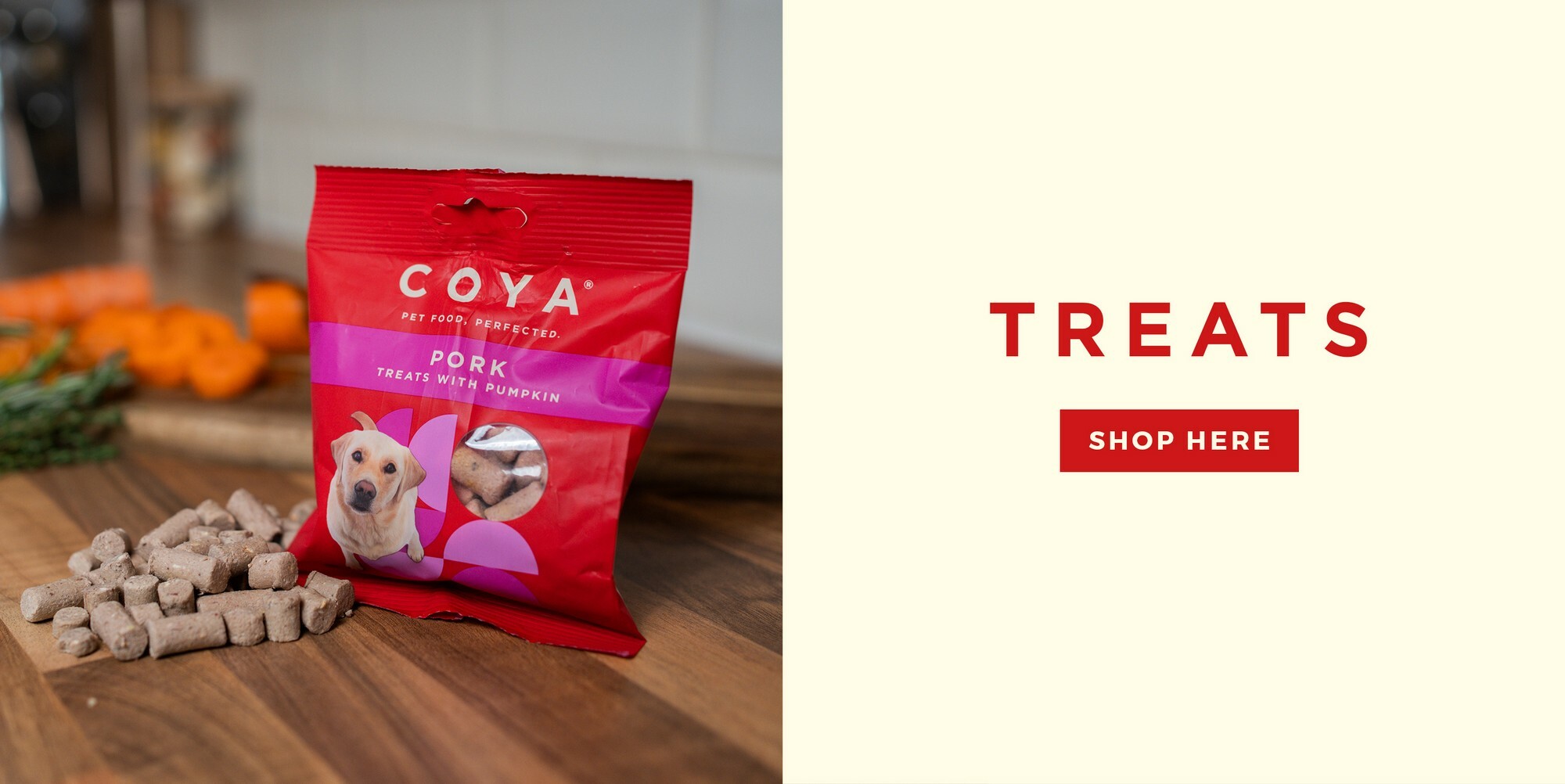 coya-treats