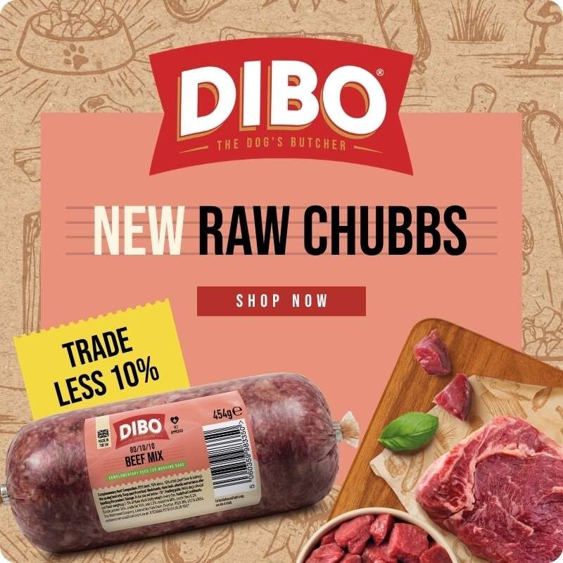 P6_DIBO