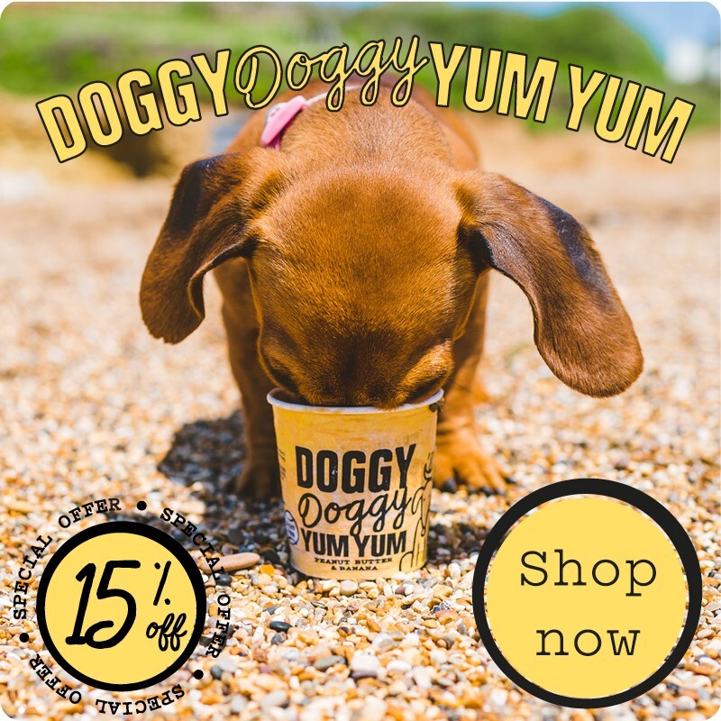 P7 doggy yum yum