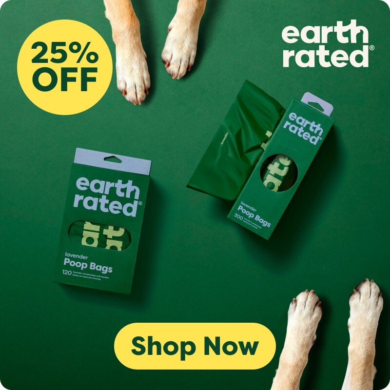 P13_2025_lower_1_earth_rated