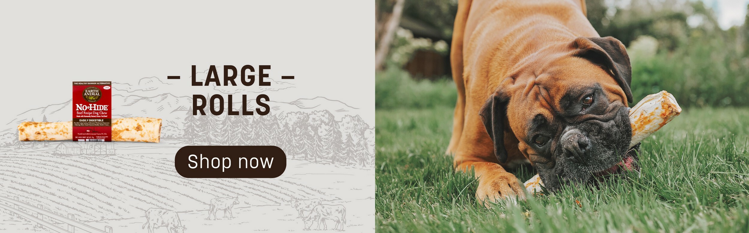earth-animal-chews-large