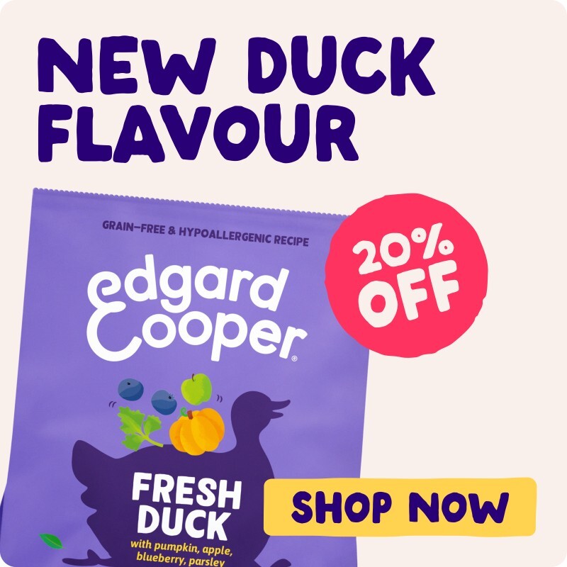 P6-edgard-cooper